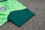 2024/25 Palmeiras Green Training Tracksuit