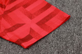 2025 England Red Training Jersey(A Set)