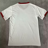 2024/25 Palestine White Fans Soccer Jersey
