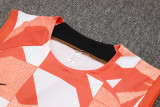 2025 In Milan  Vest Training Jersey(A Set)