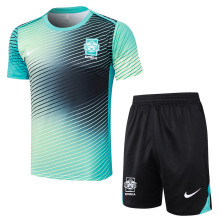 2025  South Korea Lake Blue Training Jersey(A Set)