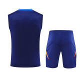 2025 JUV Sapphire Blue Vest Training Jersey(A Set)