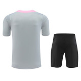 2025 PSG Grey Training Jersey(A Set)