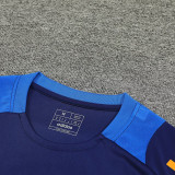 2025 JUV Sapphire Blue Vest Training Jersey(A Set)