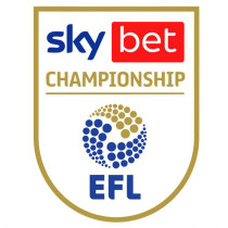 EFL CHAMPIONSHIP Ptach 右袖 英冠臂章    (You can buy it Or tell me to print it on the Jersey )