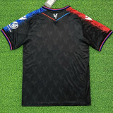 2024/25 Crystal Palace Third Fans Soccer Jersey