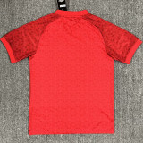 2024/25 Bournemouth Red Special Edition Fans Soccer Jersey