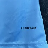 2024/25 Burgos CF Third Blue Fans Soccer Jersey 布尔戈斯