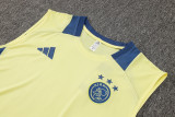 2025 AA Yellow Vest Training Jersey(A Set)