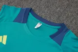 2025 AA Green Vest Training Jersey(A Set)