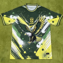 2024/25 Brazil Special Edition Fans Jersey