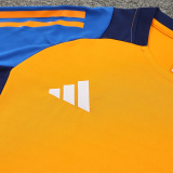 2025 AD~  Orange Training Jersey(A Set)