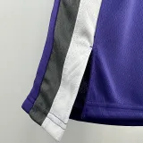2024/25 Kings  SABONIS #11 Purple NBA Jerseys 热压
