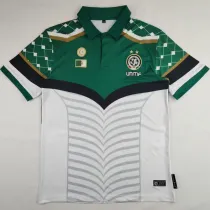2024/25 Palestine Green White Fans Soccer Jersey