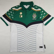 2024/25 Palestine Green White Fans Soccer Jersey