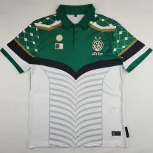2024/25 Palestine Green White Fans Soccer Jersey