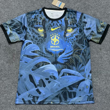 2025 Brazil Special Edition Fans Jersey