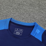 2025 Al Nassr Sapphire Blue Training Jersey(A Set)