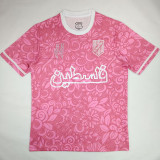 2025/26 FC Palestine Pink Fans Soccer Jersey  背后带11