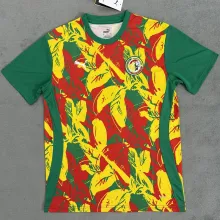2025 Senegal Training Jersey