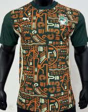 2025 Ivory Coast Special Edition Player Version Soccer Jersey
