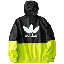 2025 AD~  Windbreaker