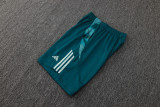 2025/26 Cruzeiro Light Green Training Jersey(A Set)