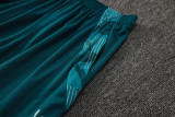2025/26 Cruzeiro Light Green Training Jersey(A Set)