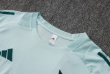 2025/26 Cruzeiro Light Green Training Jersey(A Set)