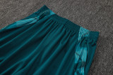 2025/26 Cruzeiro Light Green Training Jersey(A Set)