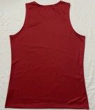 2025 The British & Irish Lions Vest Rugby Shirt 红狮子