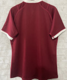 2025 The British & Irish Lions Home Red Player Version Rugby Shirt 红狮子 硅胶版