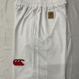 2025 The British & Irish Lions Rugby Pants 红狮子