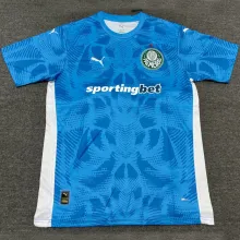 2025/26 Palmeiras Blue GK Soccer Jersey