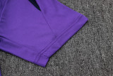 2025/26 Corinthians Purple Training Jersey(A Set)