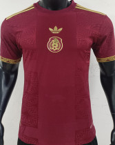 2025 Mexico Red Special Edition Player Version Soccer Jersey 胸前国微