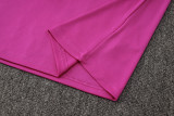 2025/26  BA Purple Vest Training Jersey(A Set)