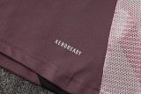 2025/26  ARS Grey Purple Vest Training Jersey(A Set)