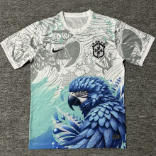 2025 Brazil Special Edition Fans Soccer Jersey