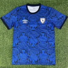 2025/26 Guatemala Training Fans Soccer Jersey