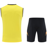 2025/26 AT Mineiro Yellow Vest Training Jersey(A Set)