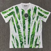 2025/26 Nigeria Home Fans Soccer Jersey