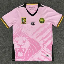2025/26 Cameroon Training Soccer Jersey