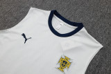 2025/26 Portugal Off-White Vest Training Jersey(A Set)