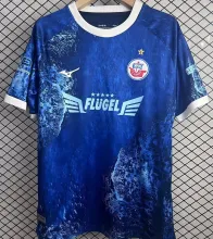 2025 Hansa Rostock Special Edition Fans Soccer Jersey