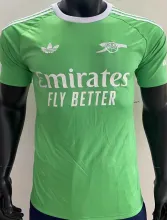 2025/26 ARS Green GK Player Version Soccer Jersey