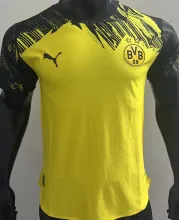2025/26 BVB Home Yellow Player Version Soccer Jersey