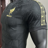 2025 Mexico Special Edition Player Version Soccer Jersey