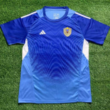 2025/26 Venezuela Blue GK Fans Soccer Jersey