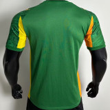 2025/26 BVB Away Green Player Version Soccer Jersey